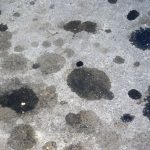 pete de ulei pe beton