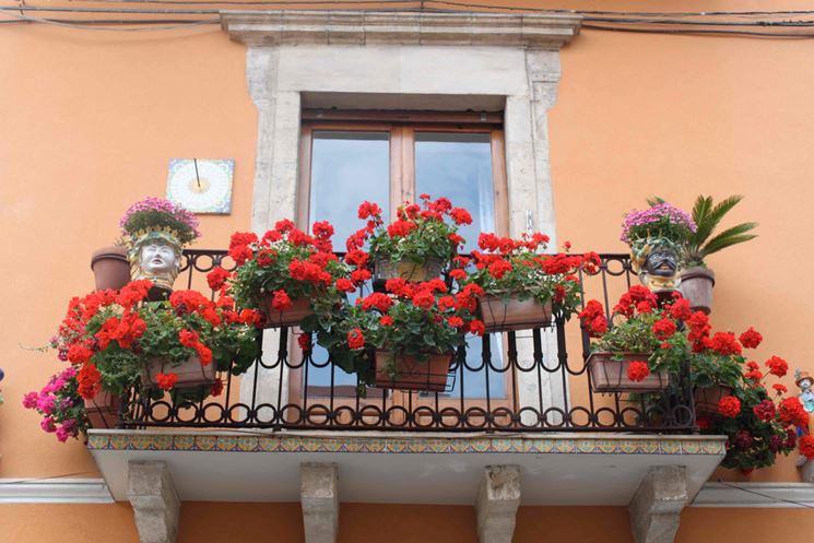 flori rosii pe balcon