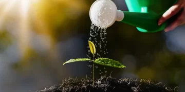 apa distilata pentru plante
